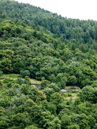 Vue sur Lou Cabanis